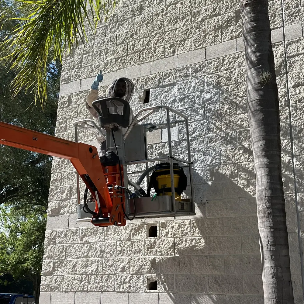 Removing a colony from a block wall two stories up